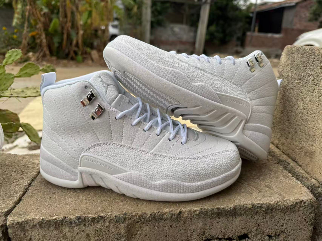 Air Jordan 12 Retro Summit White & Metallic Silver CT8013-109