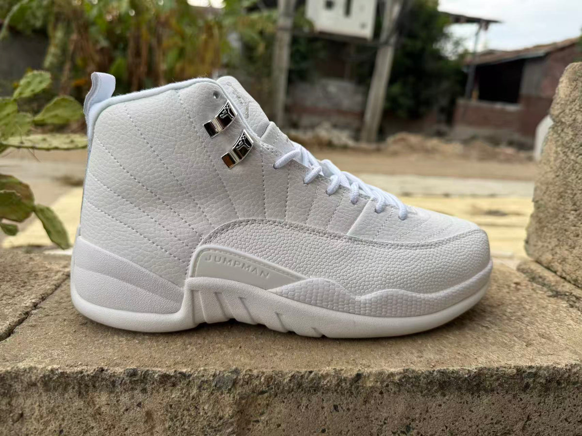 Air Jordan 12 Retro Summit White & Metallic Silver CT8013-109