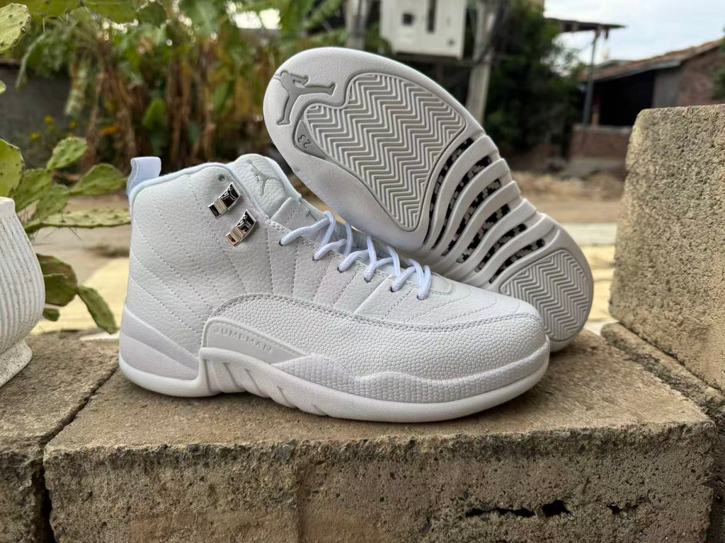 Air Jordan 12 Retro Summit White & Metallic Silver CT8013-109