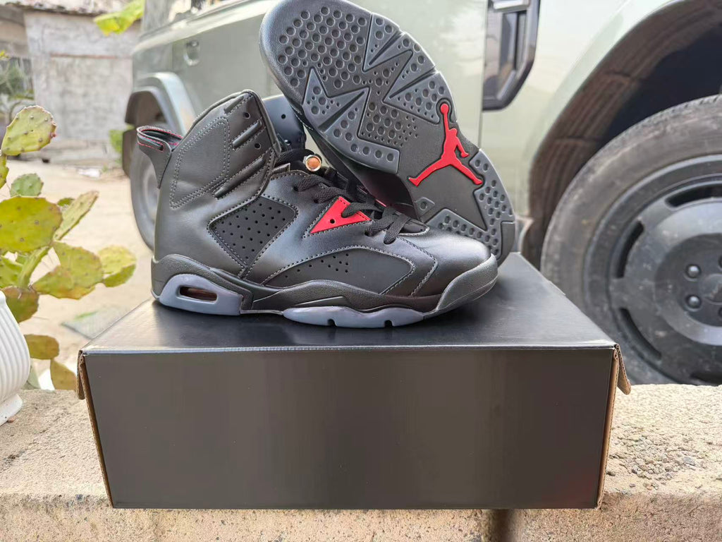 Air Jordan 6 New Colorway Sneakers